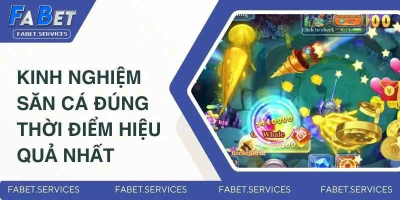 Kinh nghiệm săn cá đúng thời điểm hiệu quả nhất